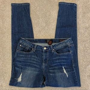 Earl Skinny Ankle‎ Distressed Jeans 8P